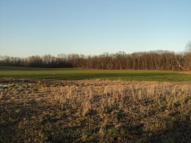 00 Napoleon Rd, Jackson, MI 49201
